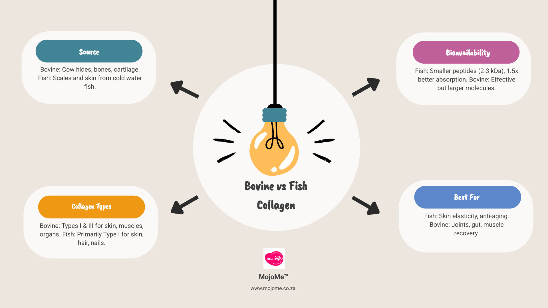 Infographic comparing bovine vs fish collagen: source, collagen types, bioavailability and best uses - is bovine or fish Infographic comparing bovine vs fish collagen: source, collagen types, bioavailability and best uses - is bovine or fish