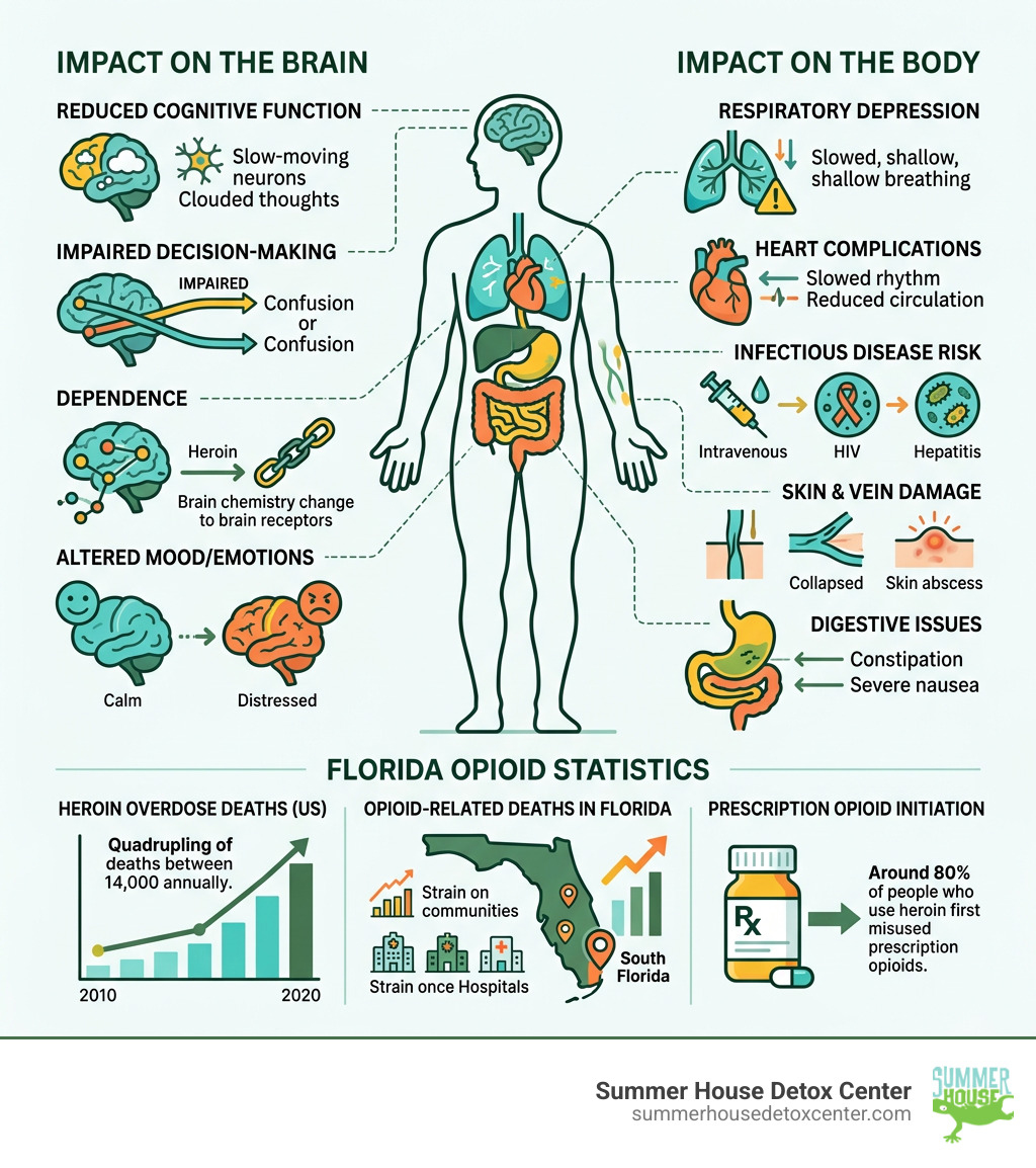 Infographic showing the impact of heroin on the brain and body, with Florida opioid statistics - heroin rehab Florida