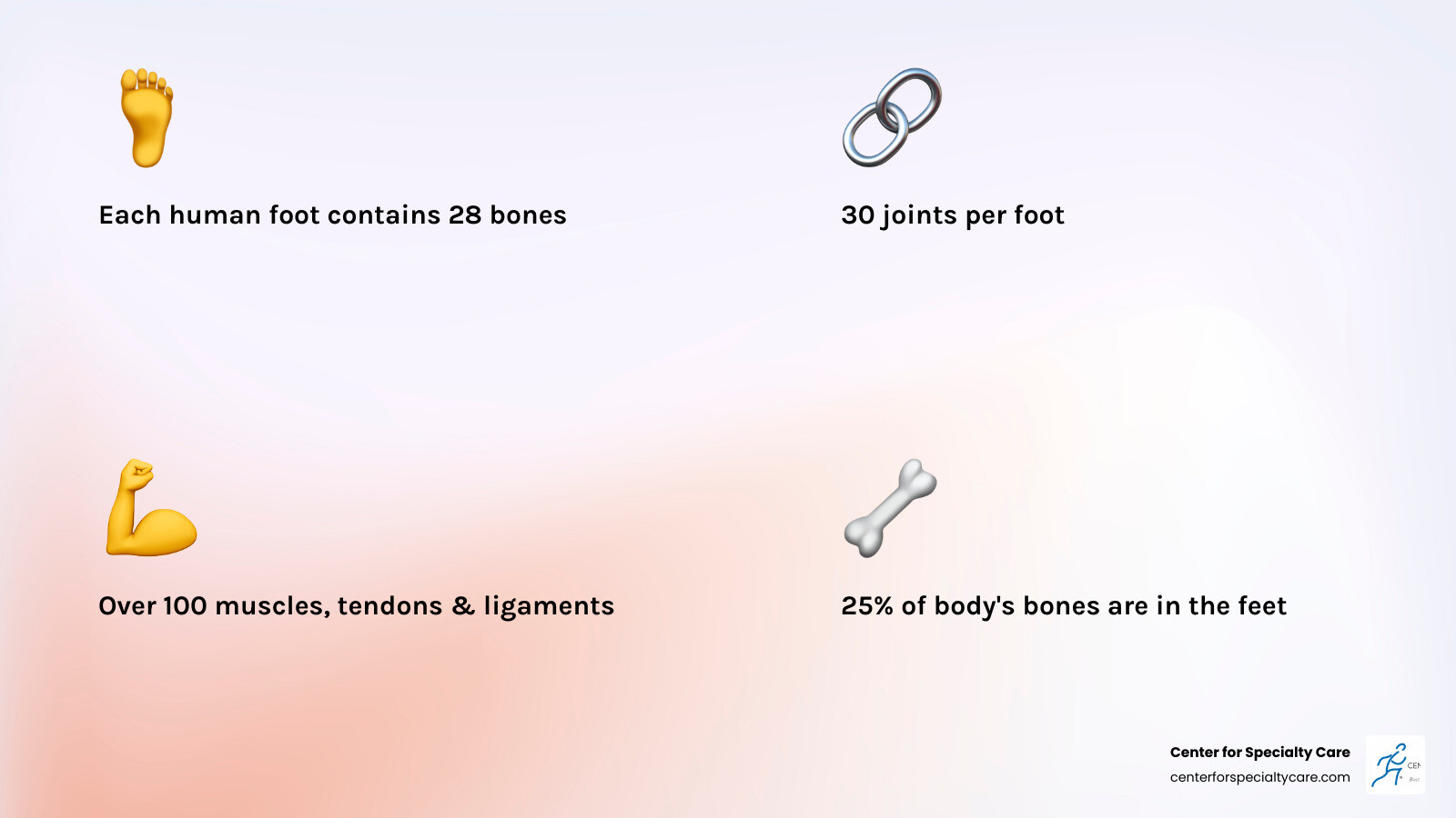 Anatomy of the human foot showing 28 bones and 30 joints - podiatry offices near me infographic 4_facts_emoji_light-gradient
