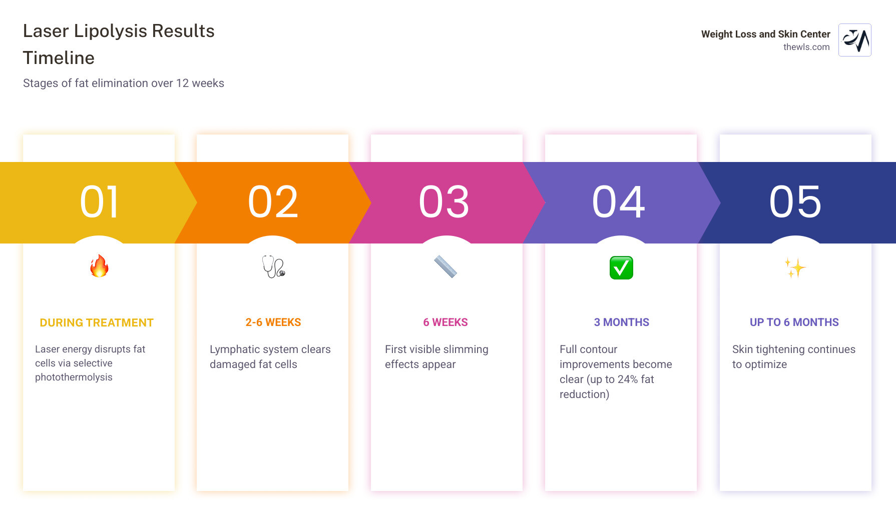 12-week laser lipolysis fat elimination timeline showing stages from treatment to full results - laser lipolysis results