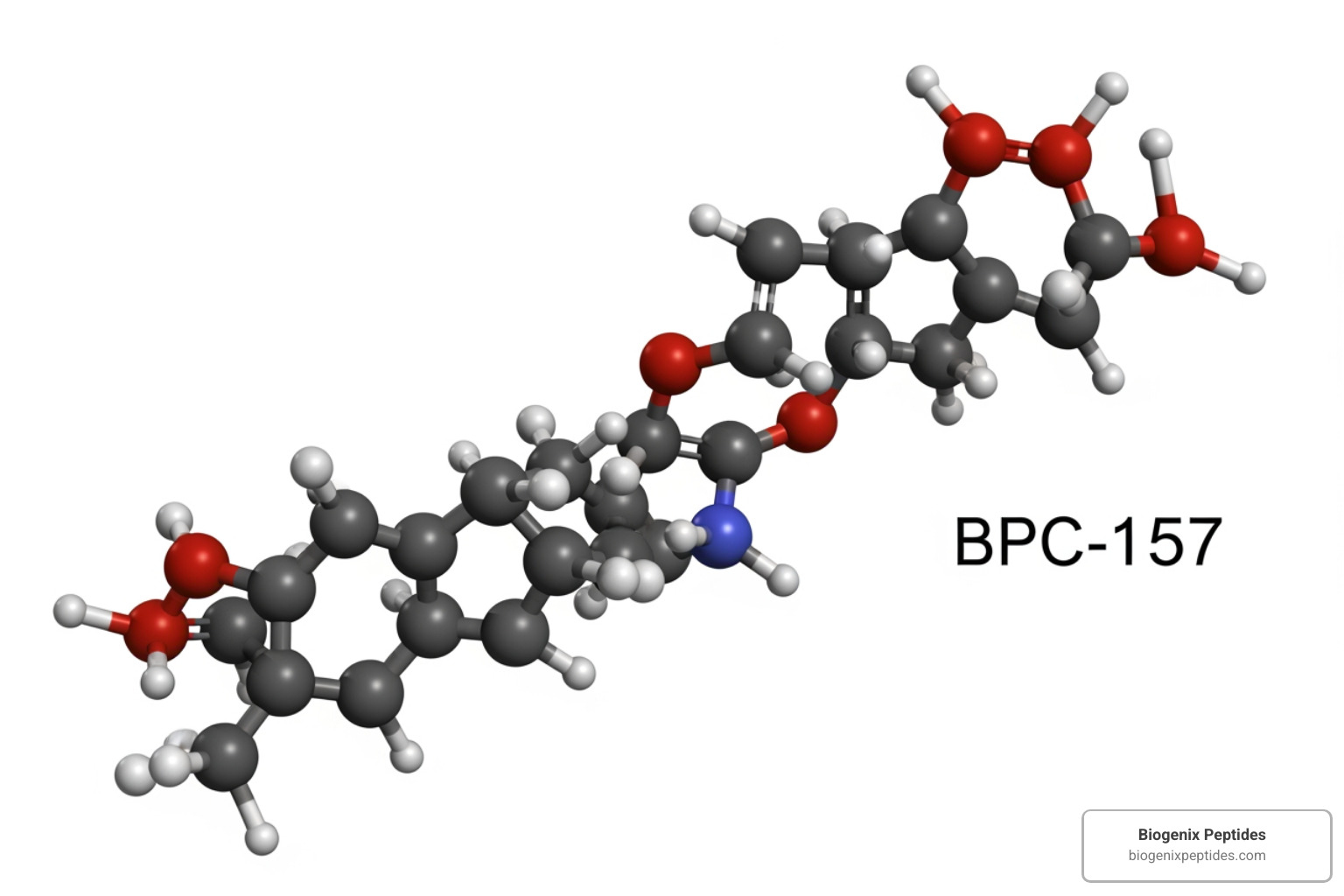 Molecular structure of the BPC-157 peptide chain - bpc 157 peptide bodybuilding