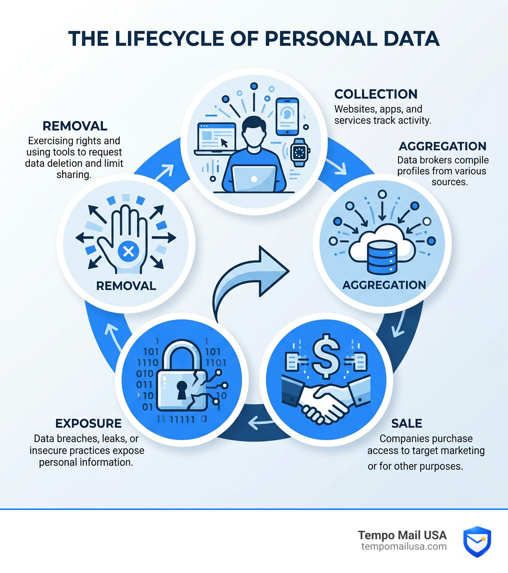 lifecycle of personal data from collection to sale to exposure and removal - online privacy infographic lifecycle of personal data from collection to sale to exposure and removal - online privacy infographic