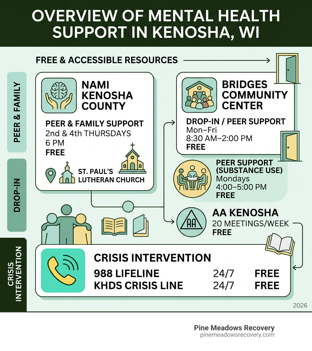 Overview infographic of mental health support groups in Kenosha WI including NAMI, Bridges, and crisis lines - Mental health Overview infographic of mental health support groups in Kenosha WI including NAMI, Bridges, and crisis lines - Mental health