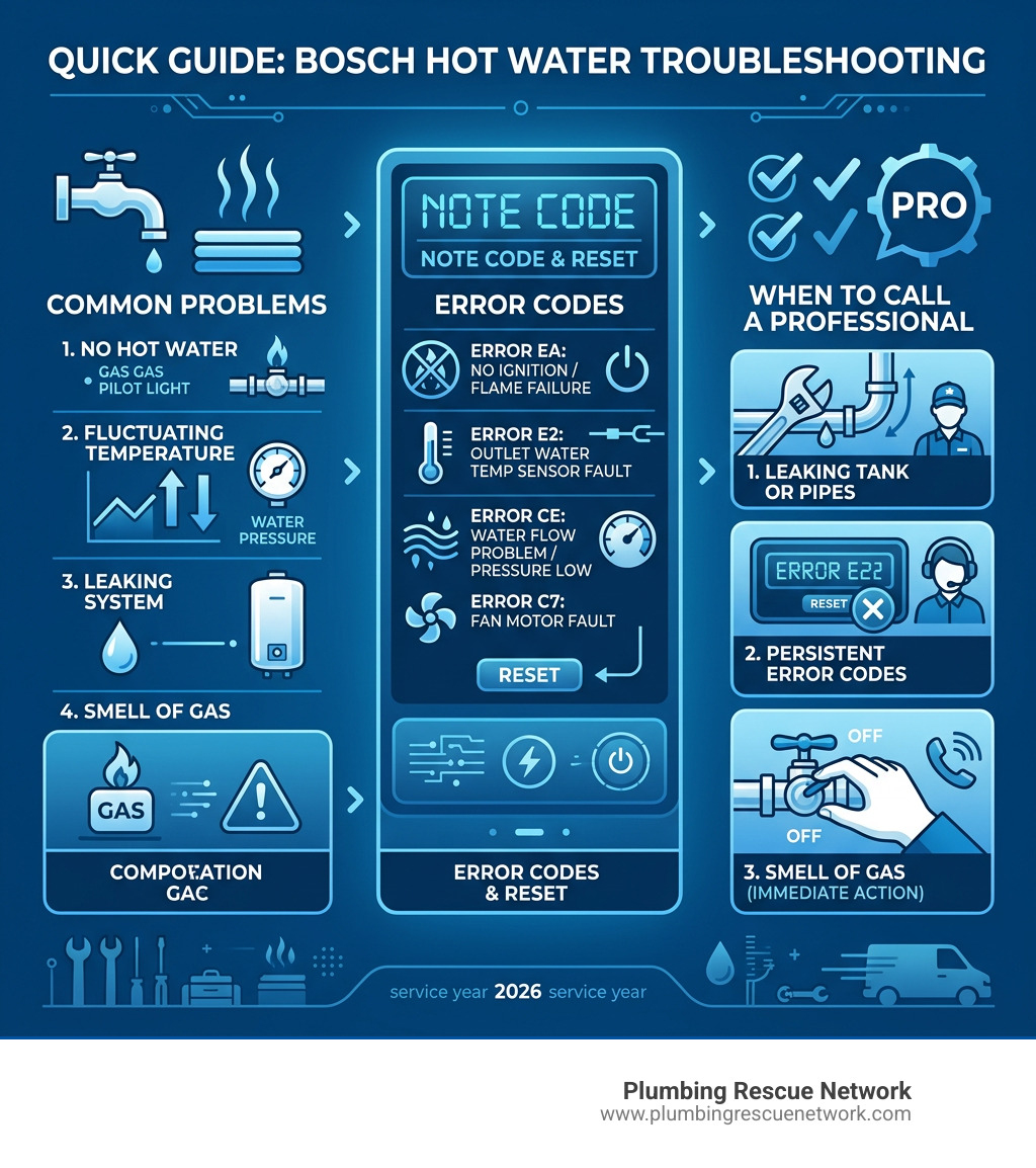 Infographic showing common Bosch hot water problems, error codes, and when to call a pro - bosch hot water repairs