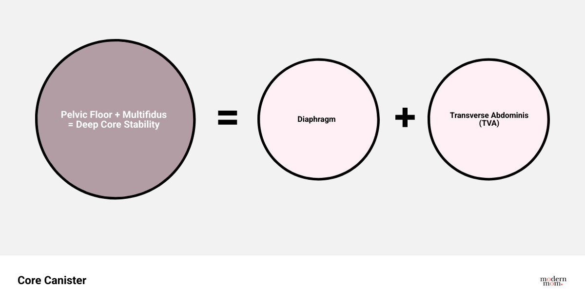 Infographic showing the Core Canister: Diaphragm, TVA, Pelvic Floor, and Multifidus working together - postpartum ab routine