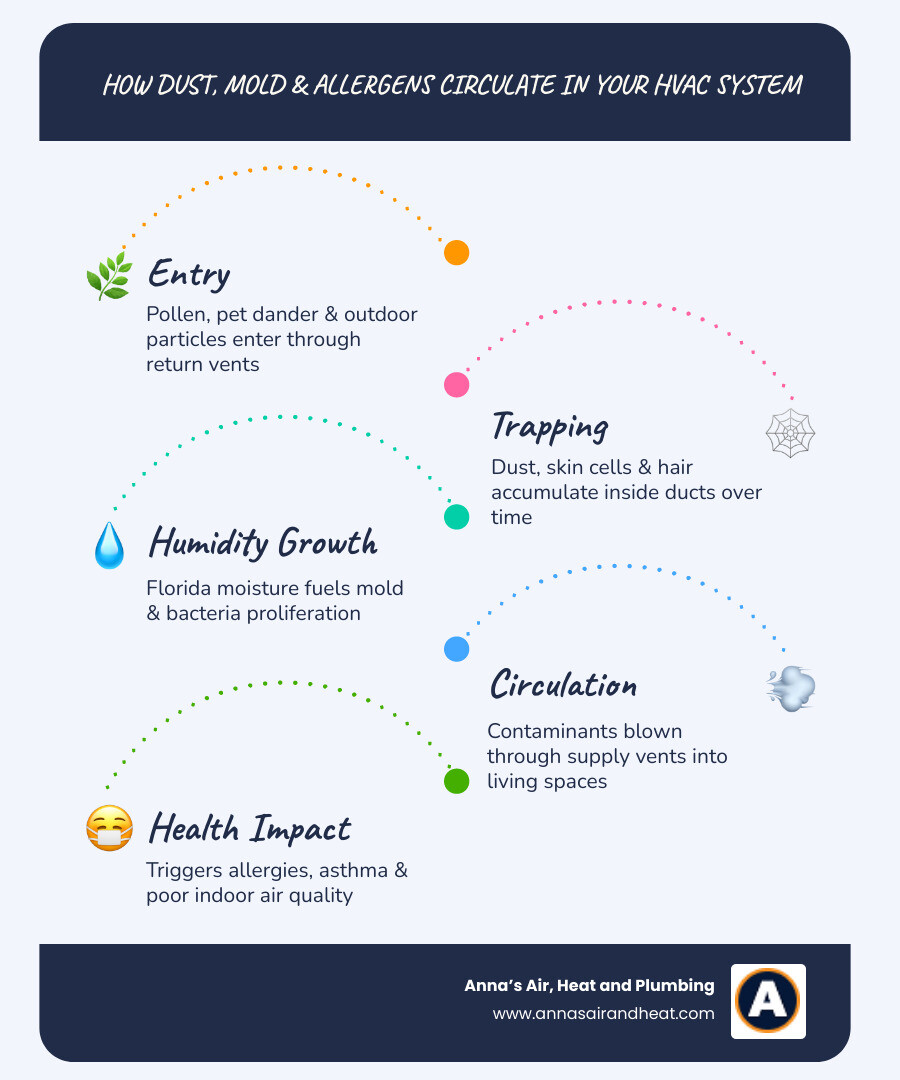 Infographic showing how dust, mold, and allergens circulate through a home HVAC duct system - best duct cleaning services in Infographic showing how dust, mold, and allergens circulate through a home HVAC duct system - best duct cleaning services in