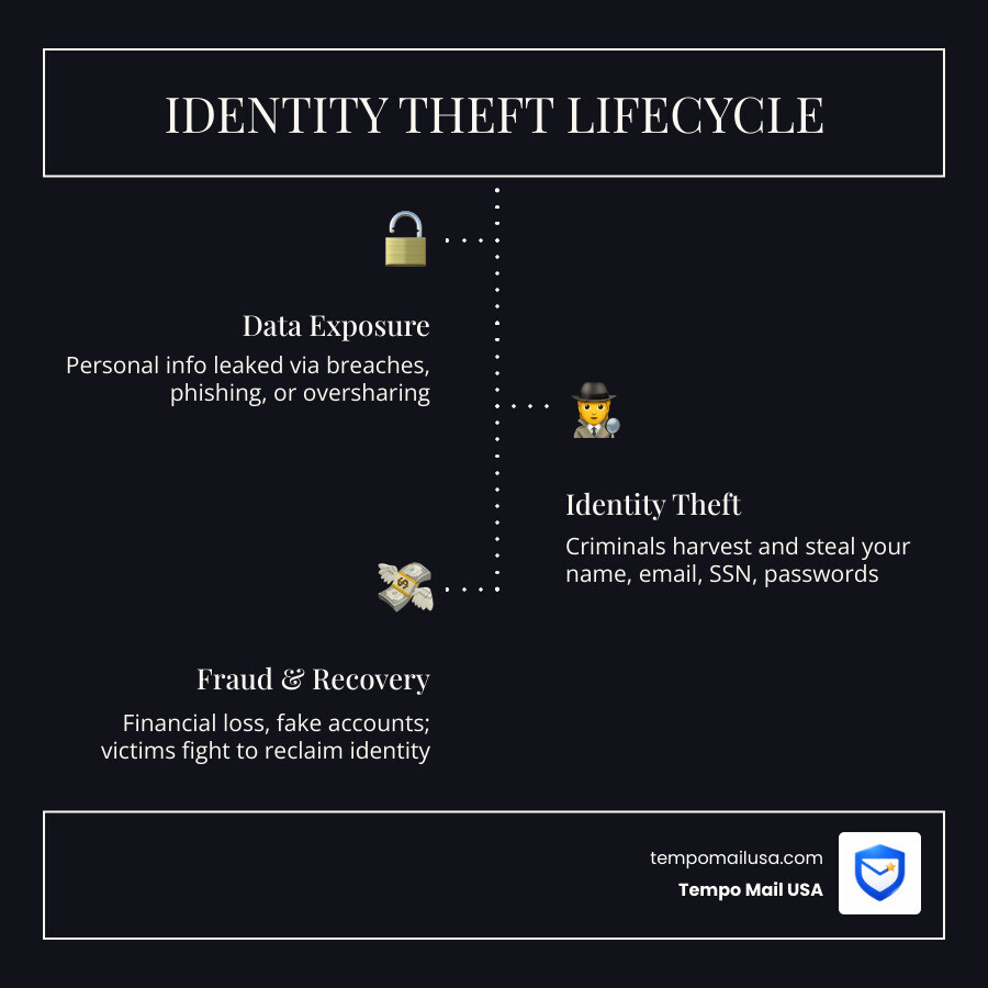 Identity theft lifecycle infographic showing data exposure, theft, fraud, and recovery steps - how to protect identity