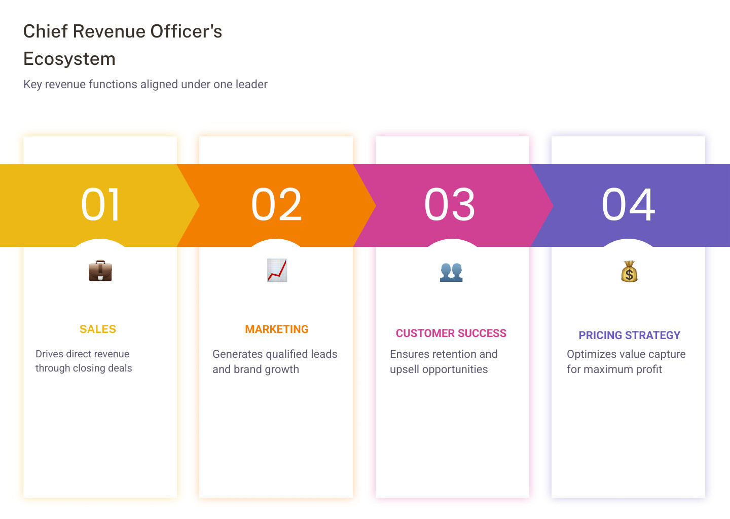 Infographic showing the Chief Revenue Officer's ecosystem: sales, marketing, customer success, pricing, and revenue Infographic showing the Chief Revenue Officer's ecosystem: sales, marketing, customer success, pricing, and revenue