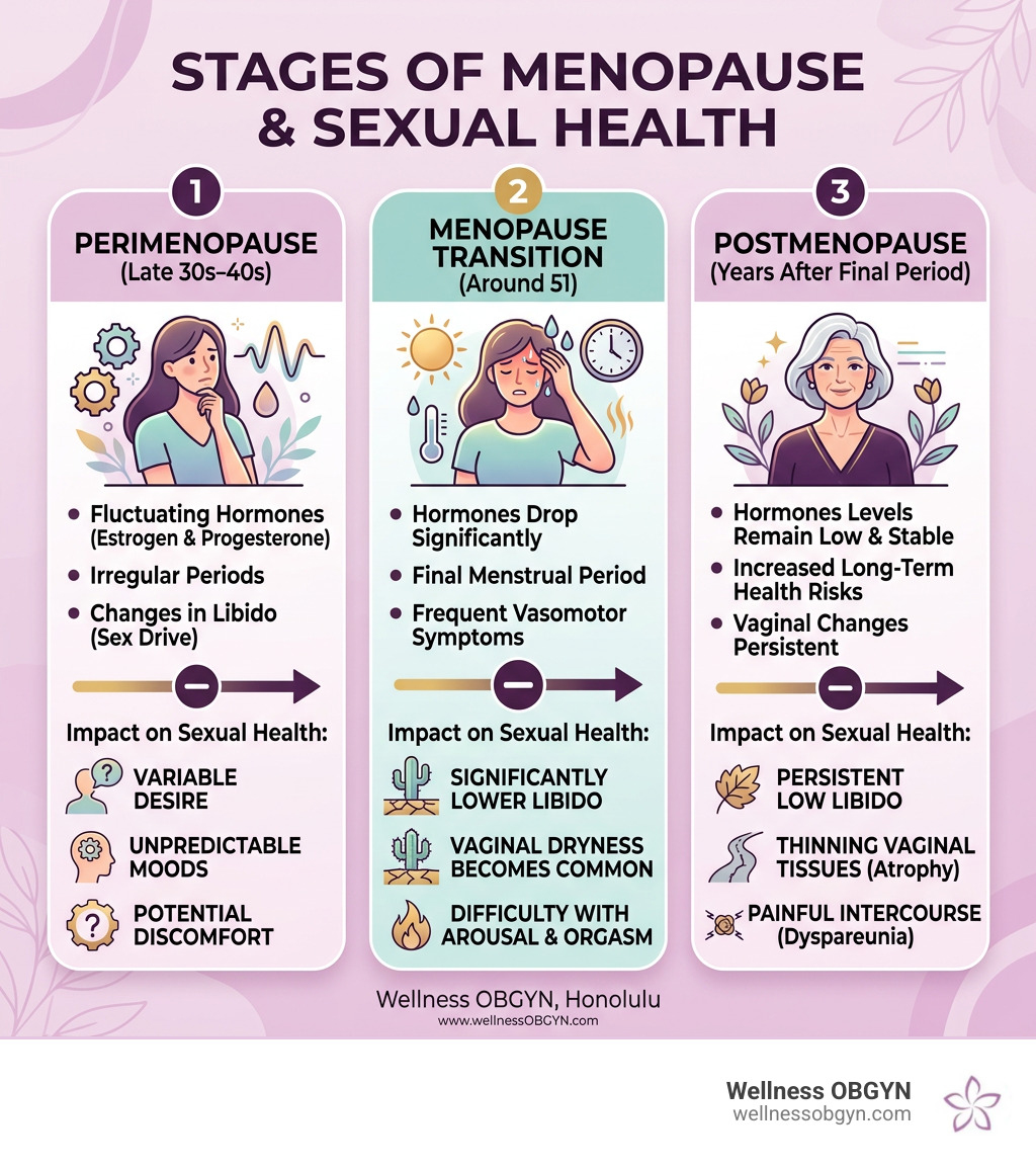 Stages of menopause and their impact on sexual health, from perimenopause to postmenopause - Menopause and sexual health