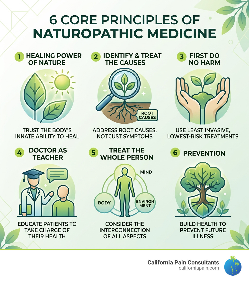 six core principles of naturopathic medicine infographic - naturopathy infographic six core principles of naturopathic medicine infographic - naturopathy infographic