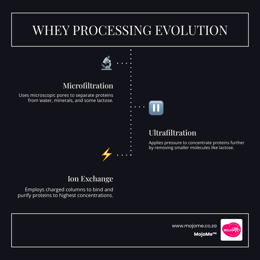 Infographic explaining the whey filtration process from liquid to powder - whey protein content infographic Infographic explaining the whey filtration process from liquid to powder - whey protein content infographic