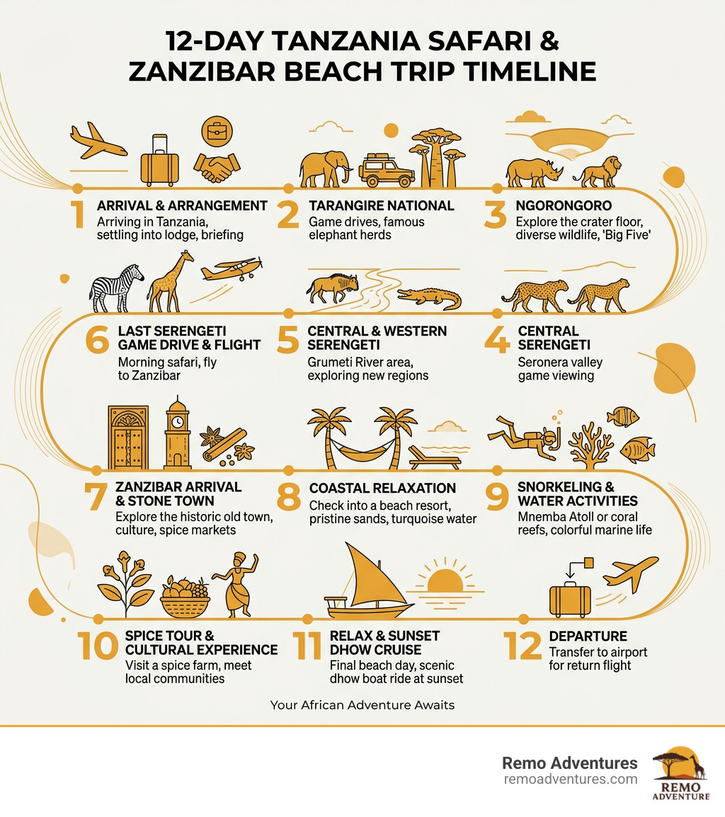 12-day Tanzania safari and Zanzibar beach trip timeline infographic - tanzania safari and zanzibar infographic 