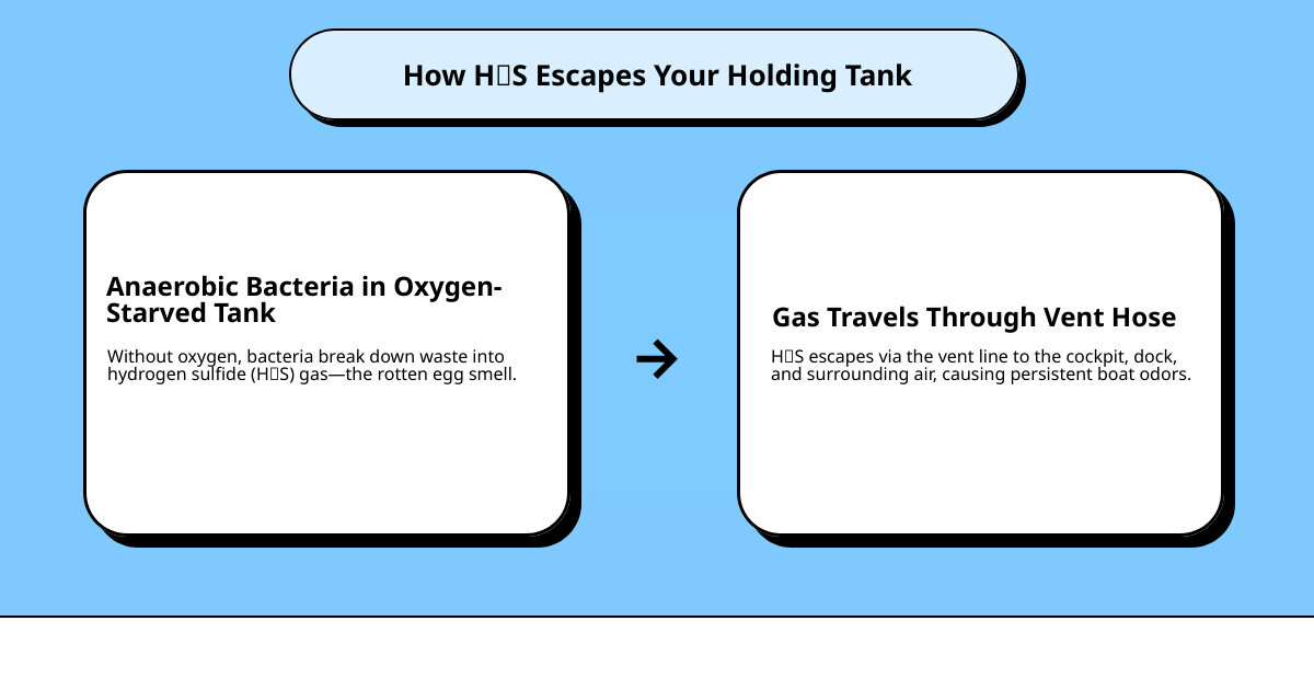 How H2S gas escapes holding tank through vent hose causing boat odor on dock and cockpit - how to stop holding tank odor