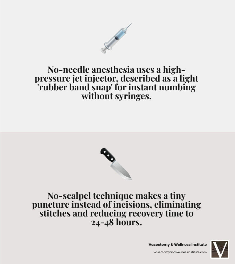Infographic showing steps of no-needle no-scalpel vasectomy with pain and recovery comparison - painless vasectomy procedure