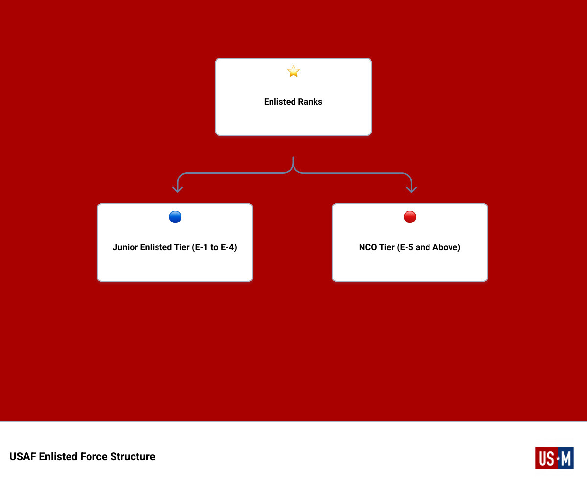 Infographic showing USAF Enlisted Force Structure tiers and Senior Airman role at E-4 - Senior Airman duties infographic Infographic showing USAF Enlisted Force Structure tiers and Senior Airman role at E-4 - Senior Airman duties infographic
