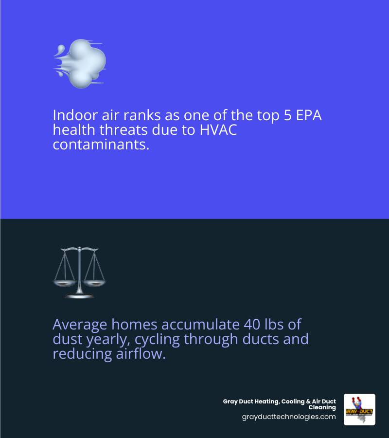 Infographic showing HVAC contaminants, airflow impact, and health effects of dirty air ducts in homes - best duct cleaning