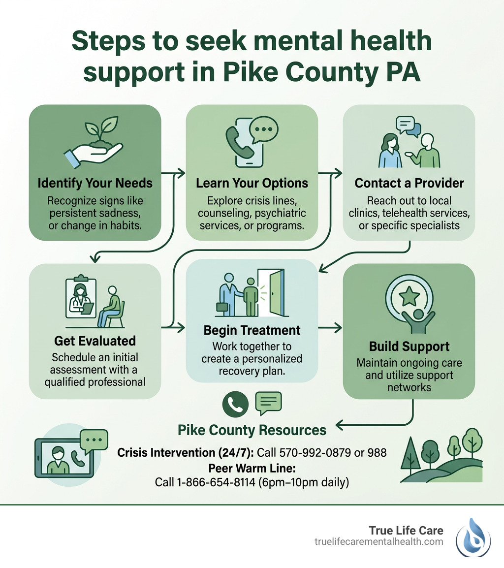 Steps to seek mental health support in Pike County PA infographic - Mental Health Treatment in Pike County PA infographic 