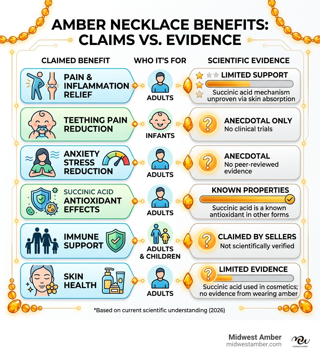 Infographic showing claimed amber necklace benefits, scientific evidence level, and who each benefit applies to - Amber