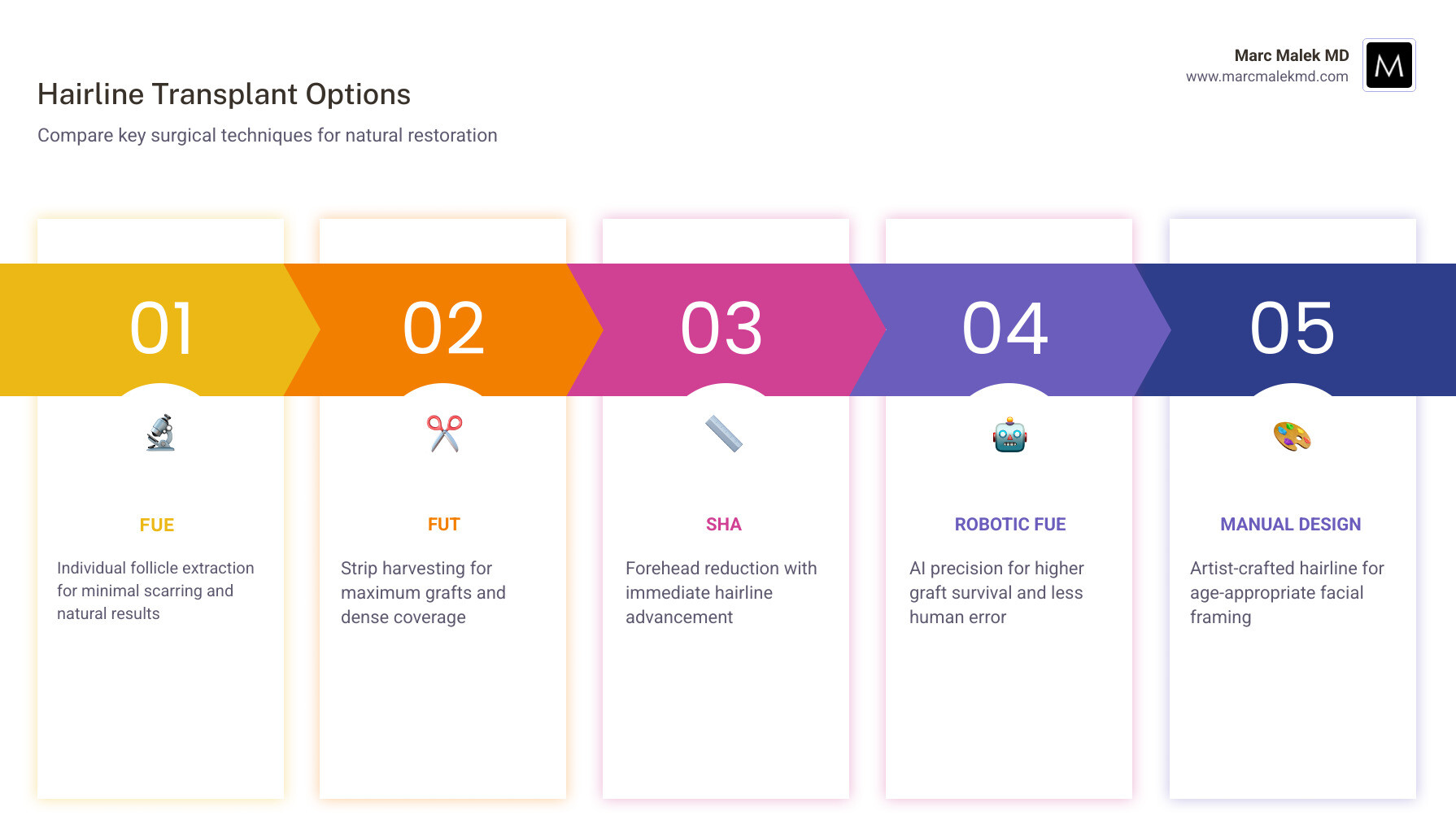 Hair growth cycle and hairline transplant timeline from procedure to 12-month results - hairline transplant infographic Hair growth cycle and hairline transplant timeline from procedure to 12-month results - hairline transplant infographic