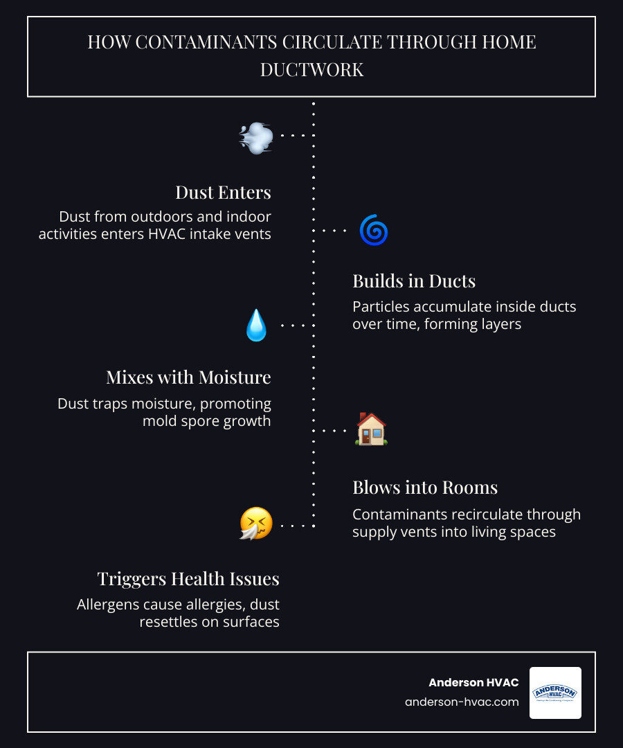 infographic showing how dust allergens and mold circulate through home ductwork from ducts to living spaces - best duct infographic showing how dust allergens and mold circulate through home ductwork from ducts to living spaces - best duct