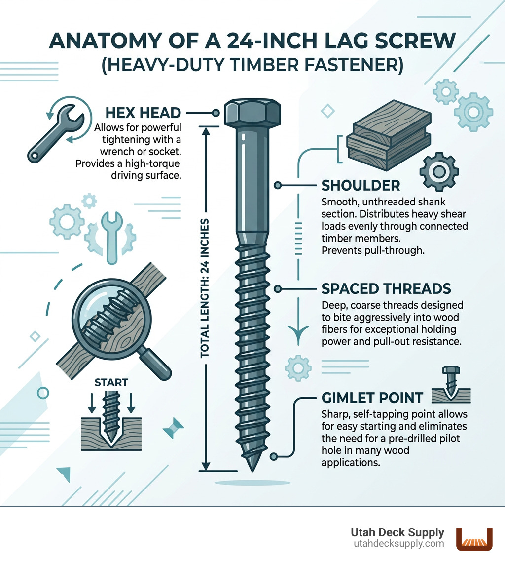 Infographic explaining 24 inch lag screw anatomy including the hex head, shoulder, spaced threads, and gimlet point - 24