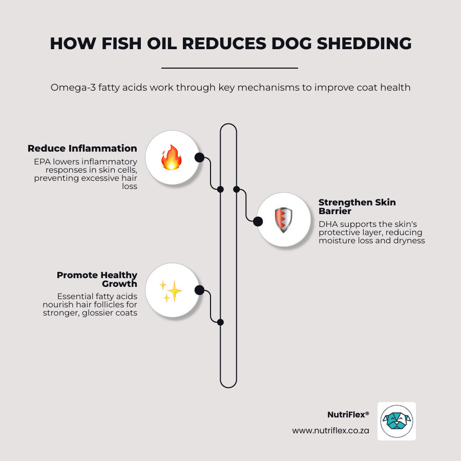 Infographic: How Fish Oil Reduces Dog Shedding - Epa/Dha Benefits, Dosage And Expected Timeline - Fish Oil For Dog Shedding Infographic: How Fish Oil Reduces Dog Shedding - Epa/Dha Benefits, Dosage And Expected Timeline - Fish Oil For Dog Shedding