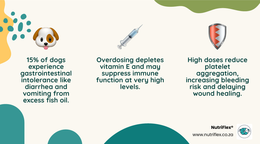 Infographic Showing Side Effects Of Too Much Fish Oil For Dogs With Dosage Thresholds And Safety Tips - Too Much Fish Oil