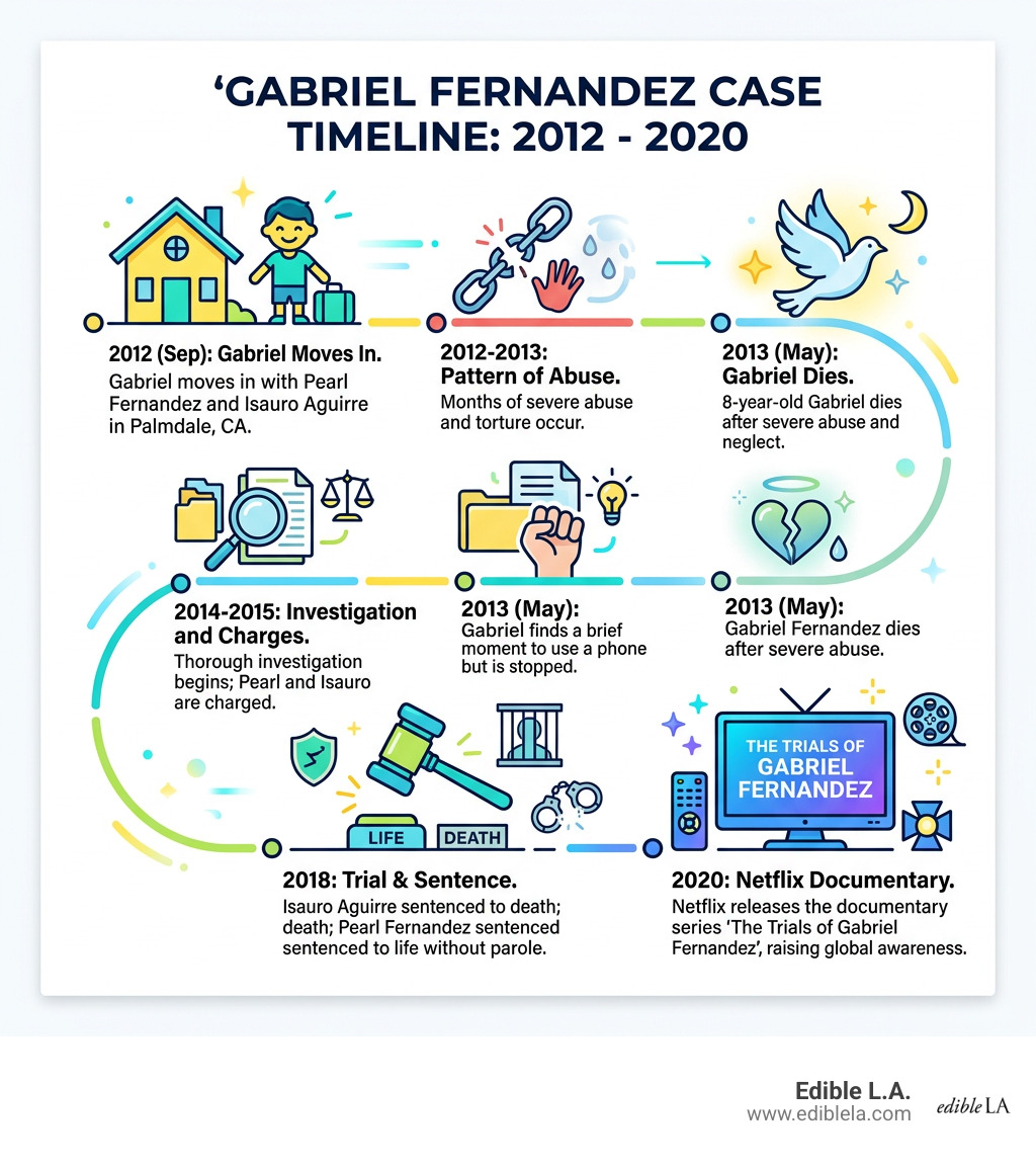 Timeline of the Gabriel Fernandez case from 2012 abuse to 2020 Netflix documentary - gabriel fernandez infographic 