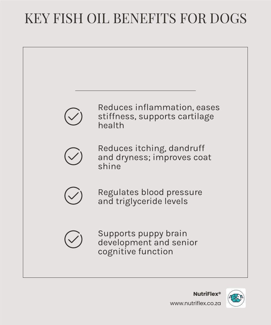 Infographic Showing Key Benefits Of Fish Oil For Dogs Including Joint, Skin, Heart, Brain And Kidney Support - Benefits Of