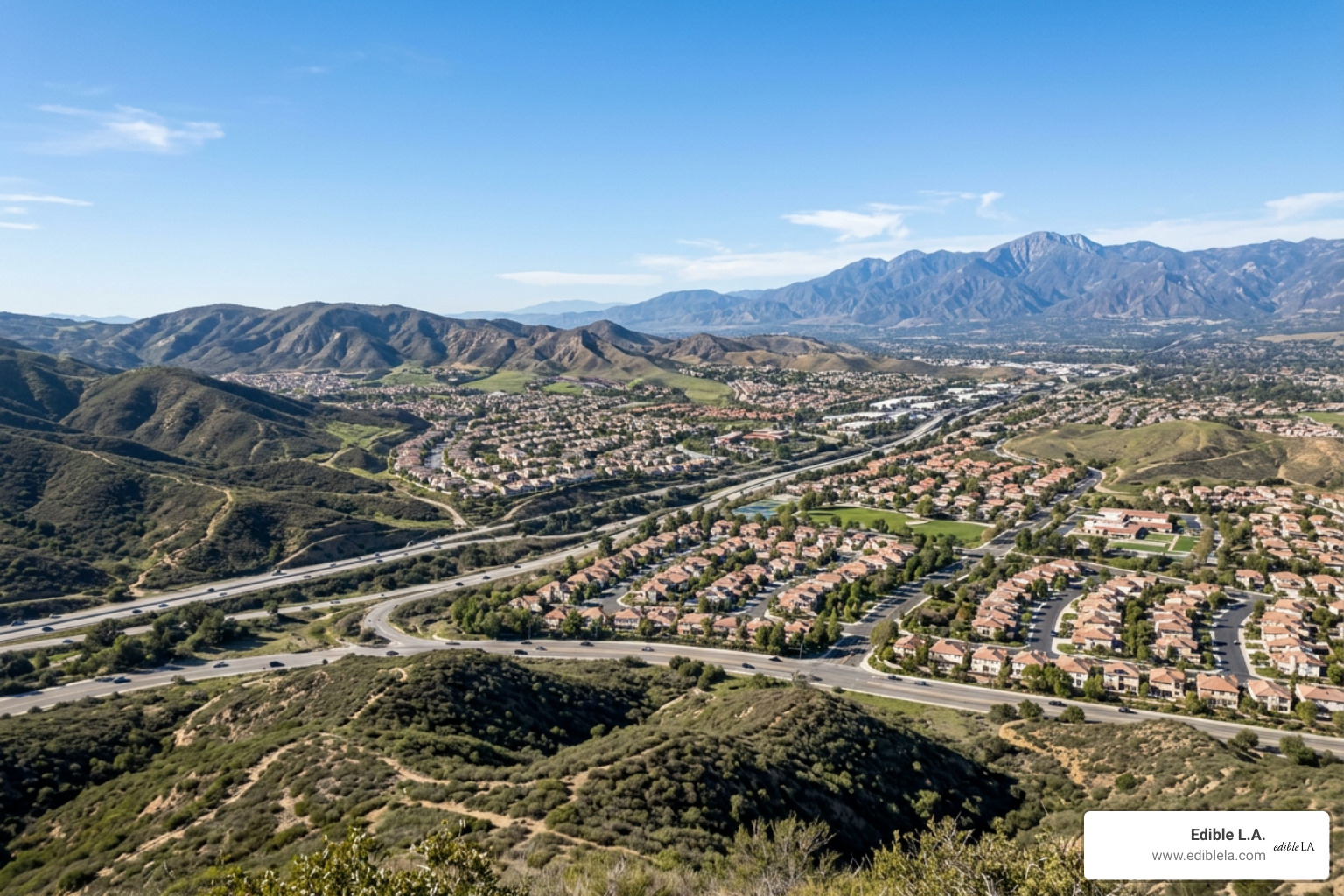 Santa Clarita landscape - mikey madison