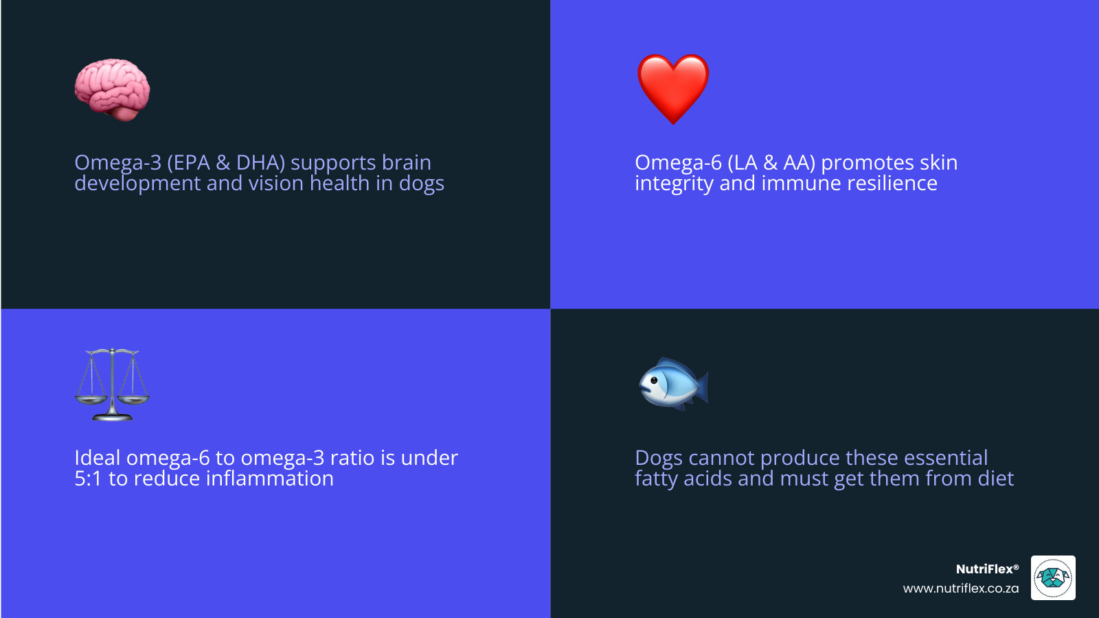 Omega-3 And Omega-6 Roles In Dog Health: Sources, Benefits And Ideal Ratio - Dog Food Omega 3 And 6 Infographic Omega-3 And Omega-6 Roles In Dog Health: Sources, Benefits And Ideal Ratio - Dog Food Omega 3 And 6 Infographic