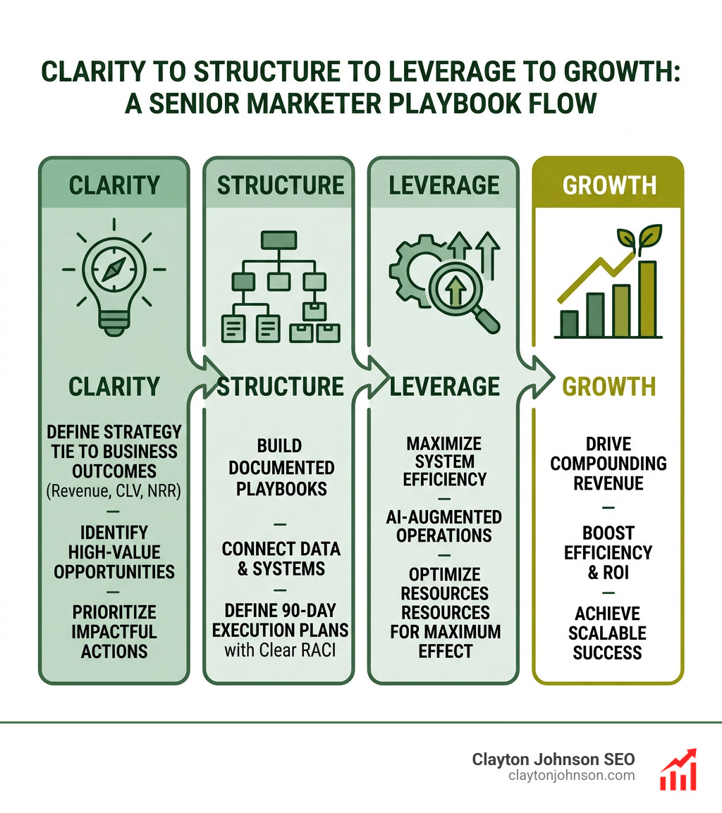 Clarity to Structure to Leverage to Growth flow for senior marketer playbooks - actionable growth playbooks for senior
