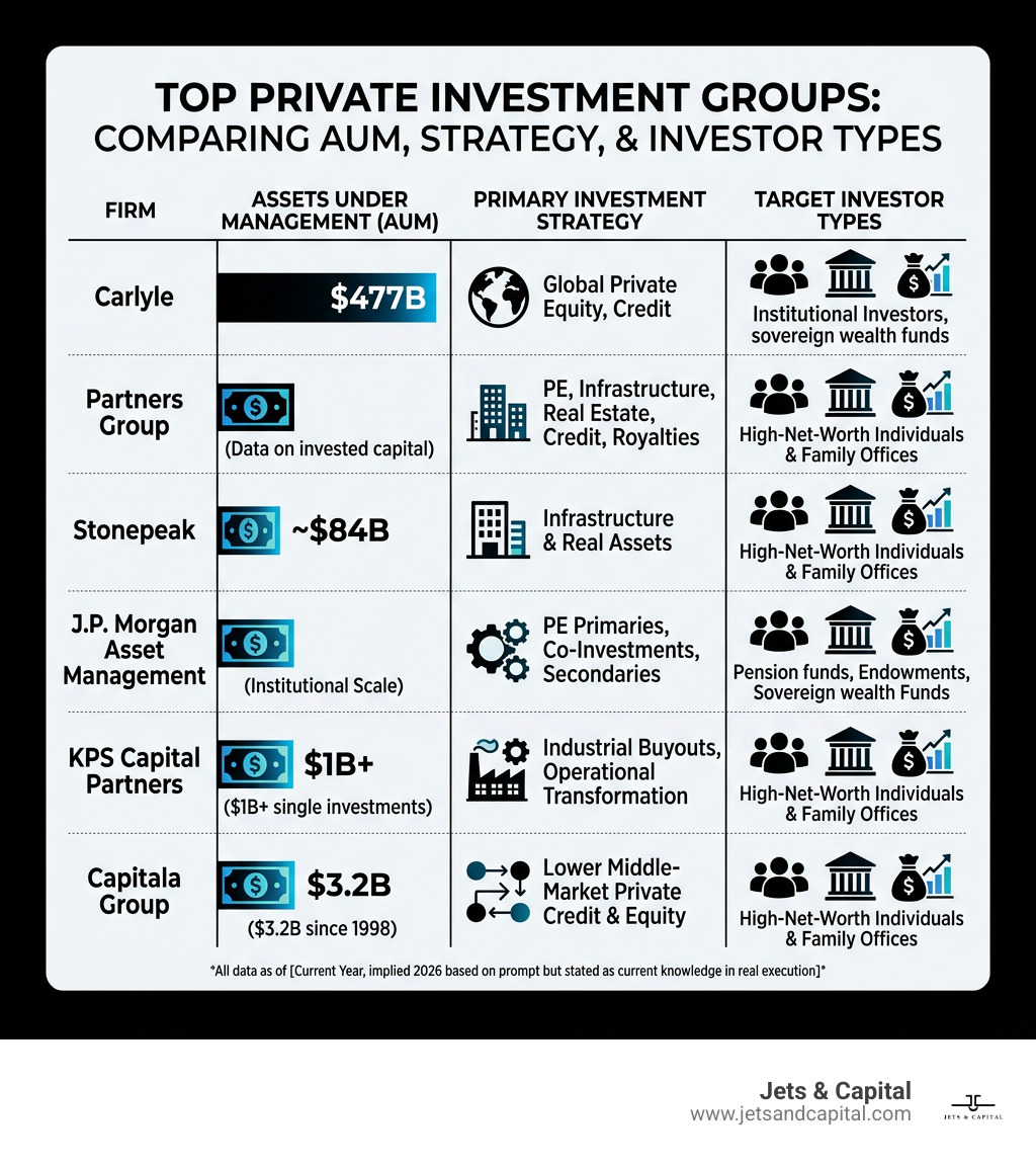 Comparison infographic of top private investment groups by AUM, strategy, and investor type - Private investment groups Comparison infographic of top private investment groups by AUM, strategy, and investor type - Private investment groups