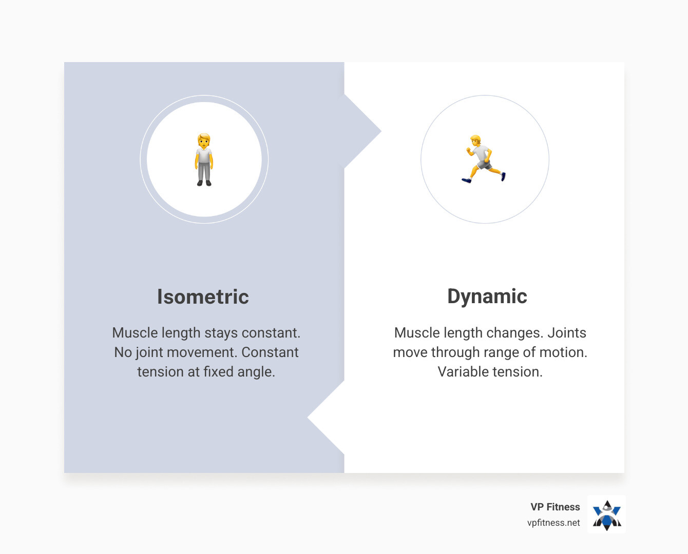 The Science of Staying Still: Isometric Training 101 - VP Fitness - Top ...