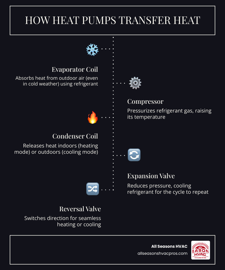 Infographic showing how heat pumps transfer heat for both heating and cooling in a Norwalk Iowa home - heat pump Infographic showing how heat pumps transfer heat for both heating and cooling in a Norwalk Iowa home - heat pump