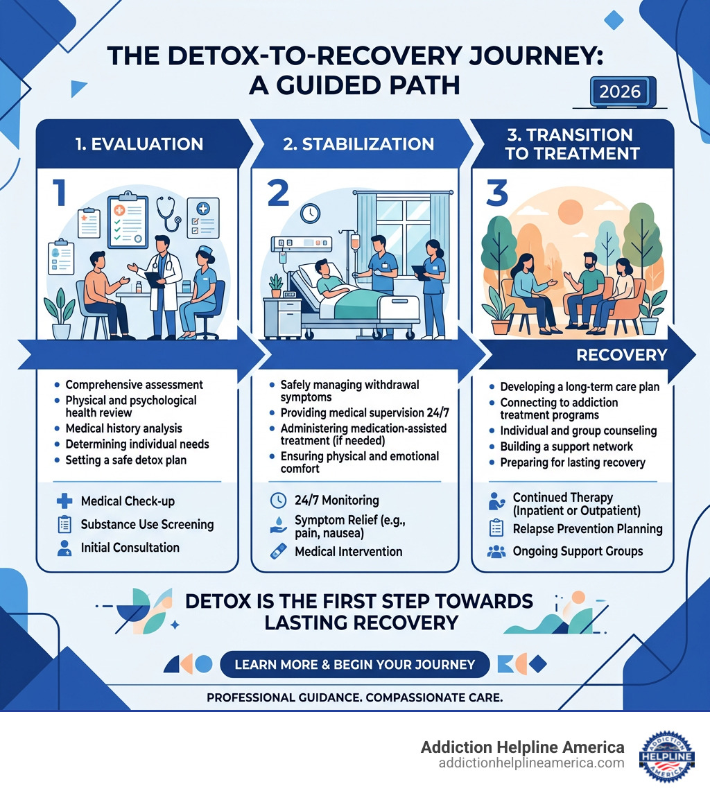 Infographic showing the detox-to-recovery journey: evaluation, stabilization, transition to treatment - drug and alcohol