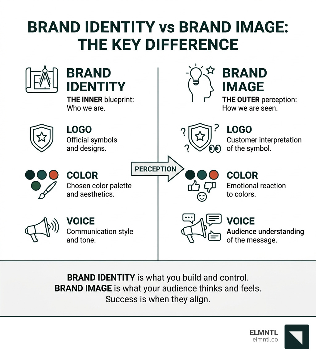 Infographic comparing brand identity vs brand image with key elements like logo, color, voice, and perception - brand