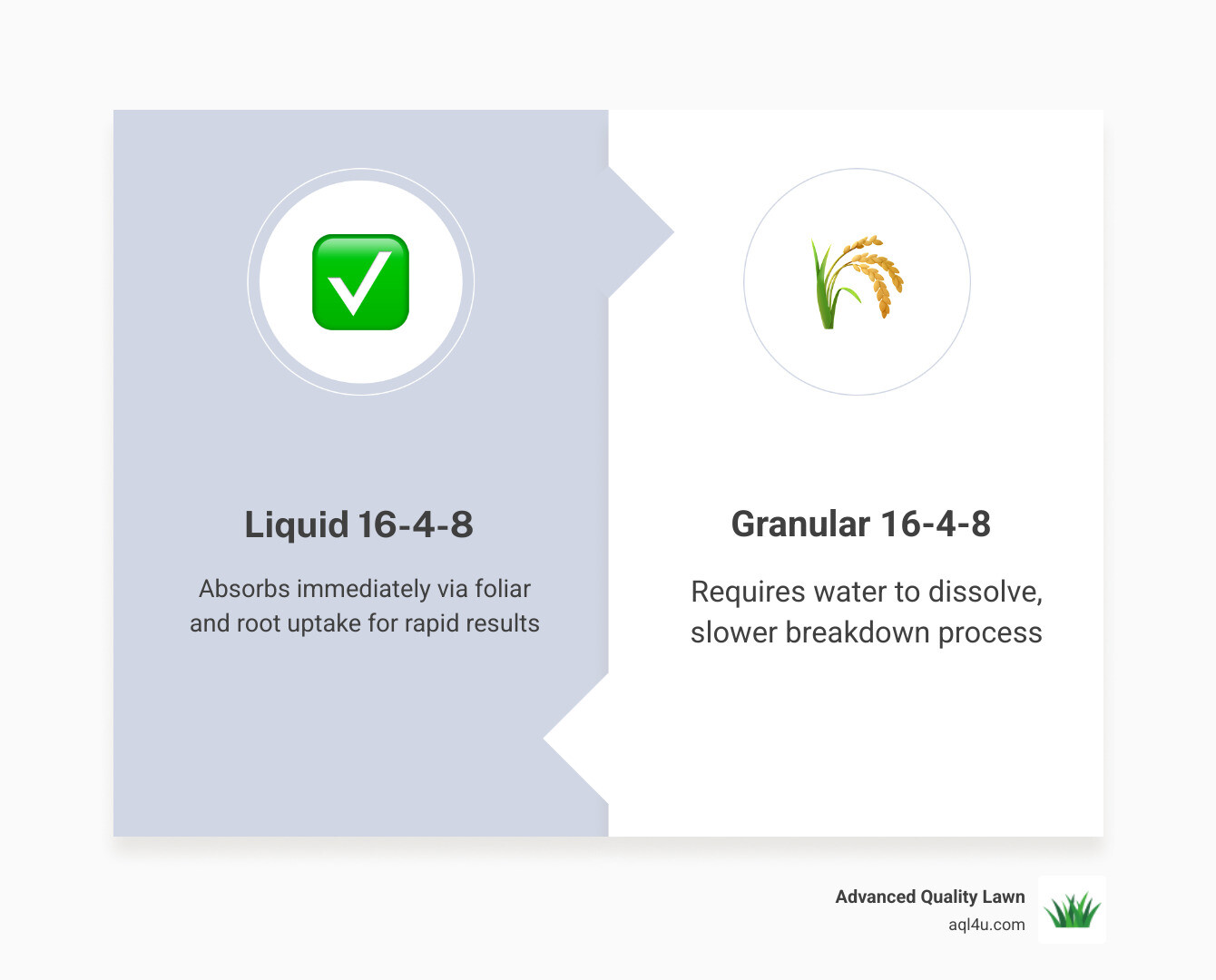 Infographic comparing liquid fertilizer absorption speed vs granular fertilizer over 14 days - 16 4 8 liquid fertilizer