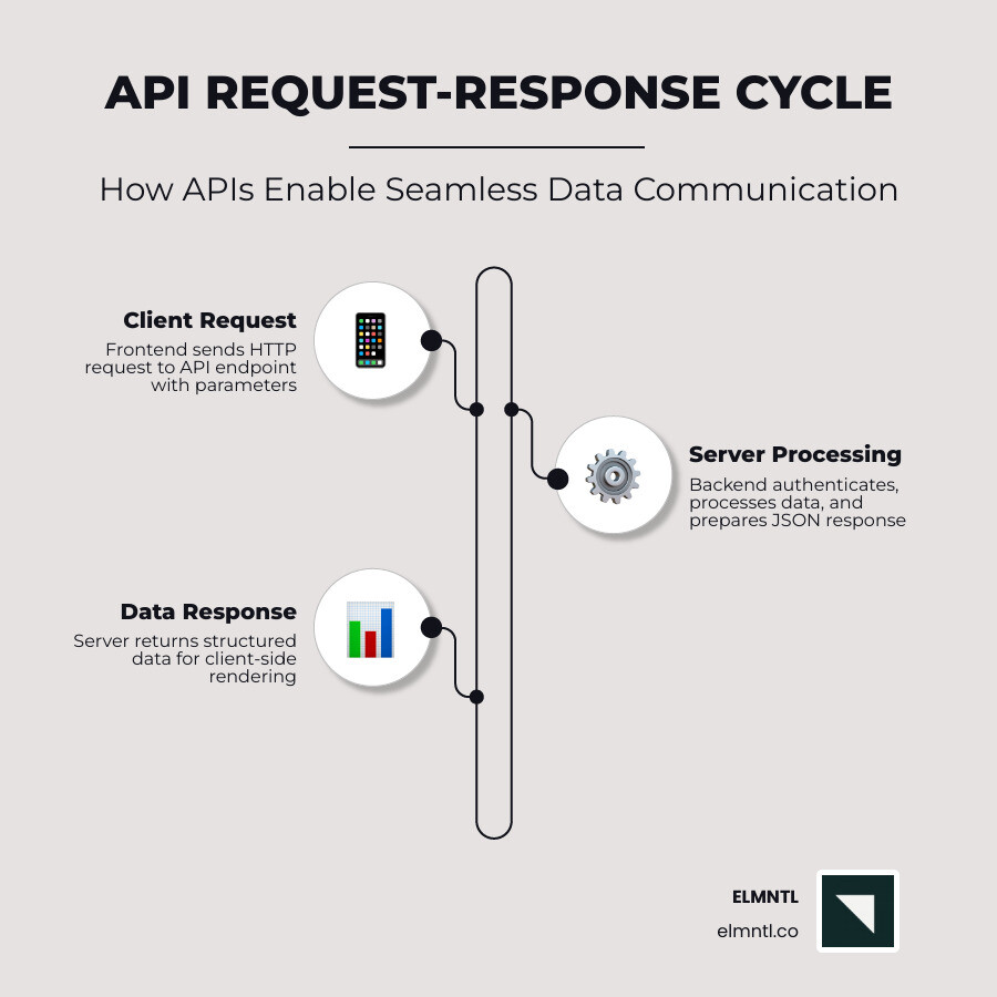 API request-response cycle infographic showing client, API endpoint, server, and JSON response - api integration web