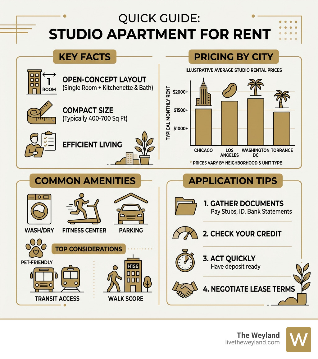 Quick guide infographic: studio apartment for rent key facts, pricing by city, amenities, and application tips - studio