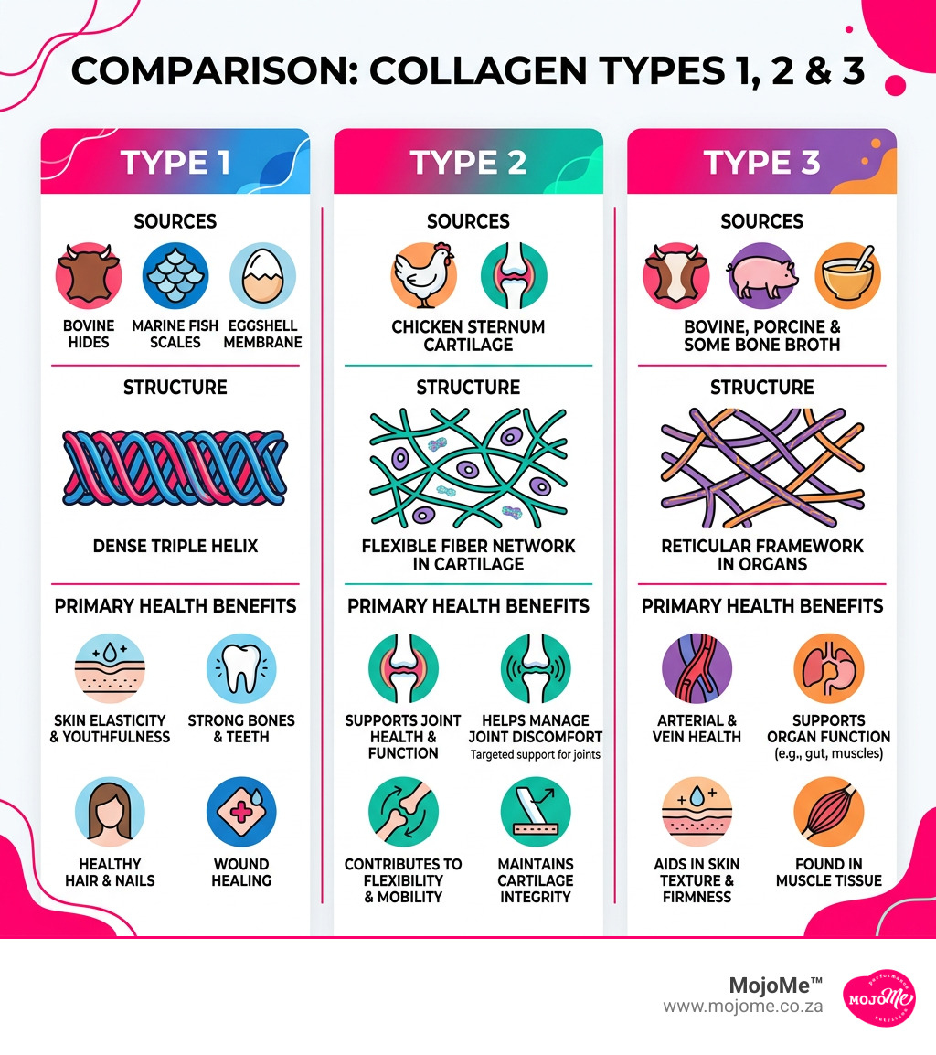 Infographic comparing collagen types 1, 2 and 3: sources, structure and primary health benefits - collagen type 2 capsules