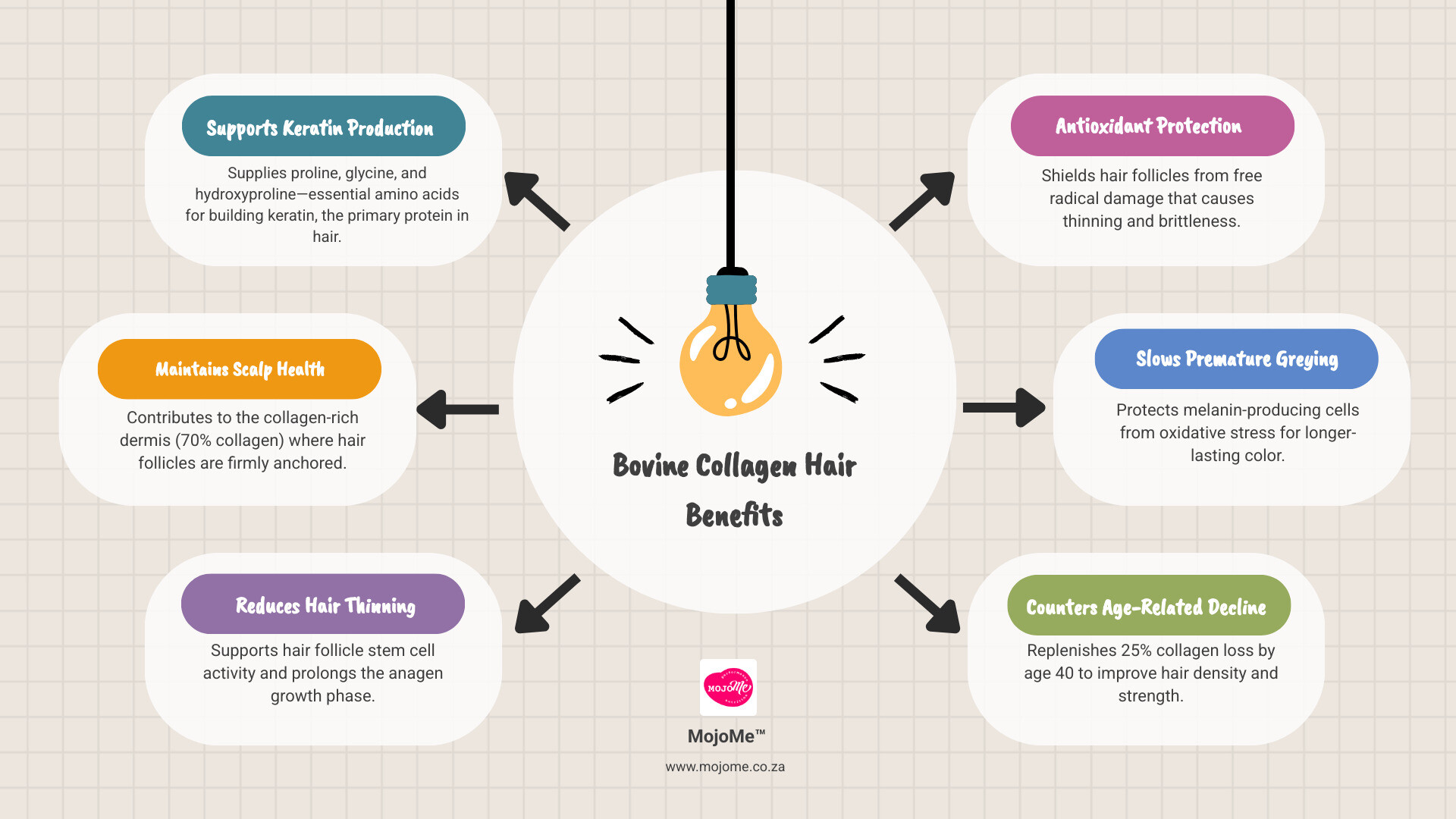 Infographic showing bovine collagen hair benefits, hair follicle structure and collagen's role in keratin production