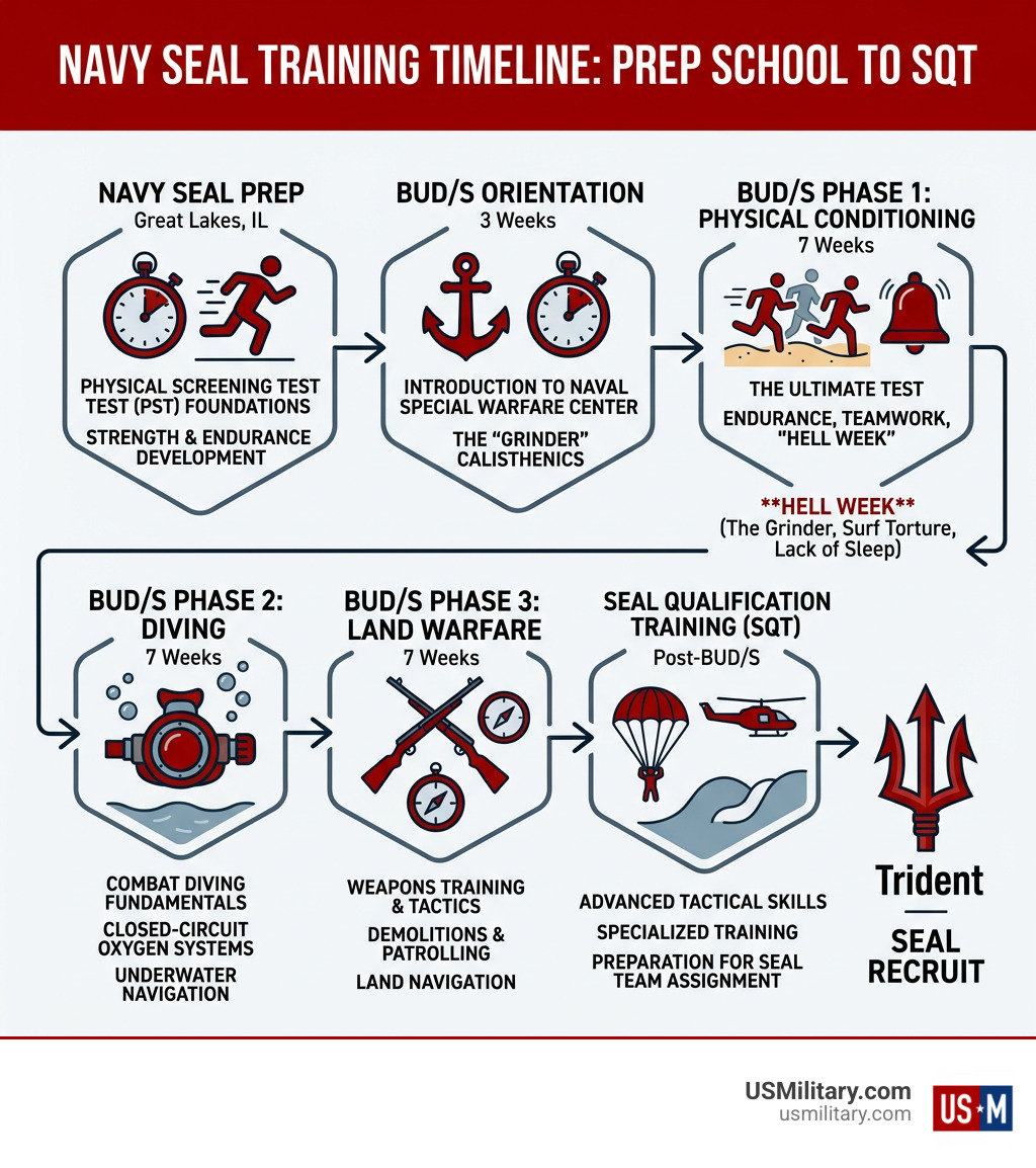 Infographic explaining the Navy SEAL training timeline from prep school to SQT - What Are The 3 Phases of Basic Underwater Infographic explaining the Navy SEAL training timeline from prep school to SQT - What Are The 3 Phases of Basic Underwater