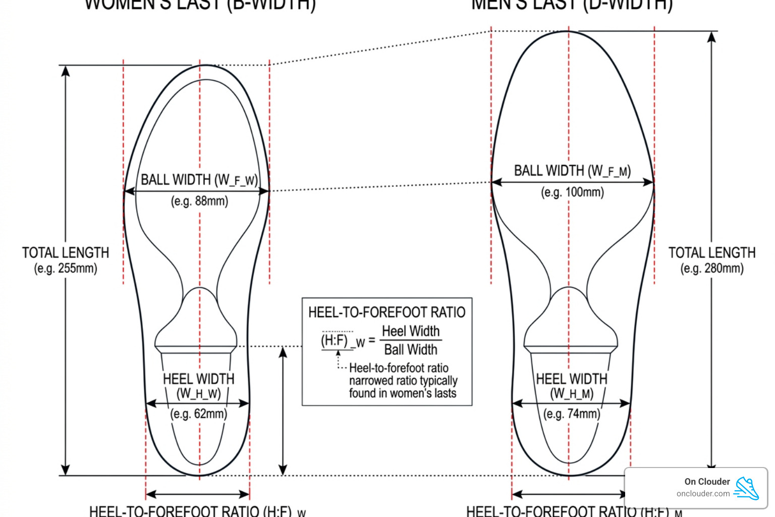 diagram comparing a standard B-width women's last versus a D-width men's last - best running shoes women