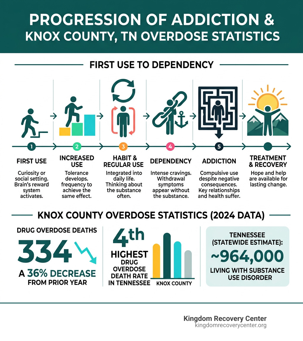 Infographic showing progression of addiction from first use to dependency with Knox County overdose statistics - addiction Infographic showing progression of addiction from first use to dependency with Knox County overdose statistics - addiction
