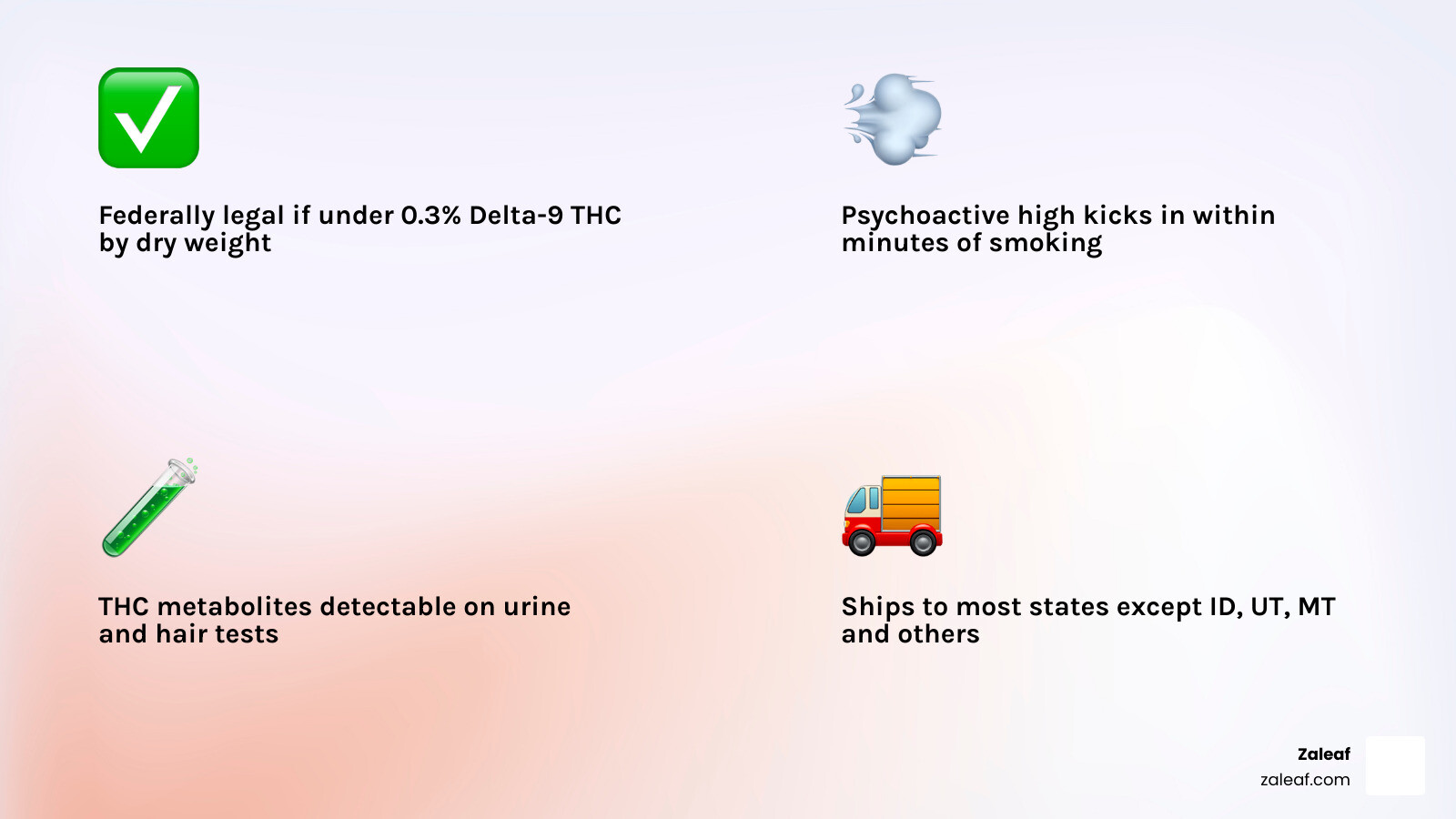 Infographic showing Delta 9 pre rolls: legal status, effects onset, drug test risk, and shipping basics - delta 9 pre rolls