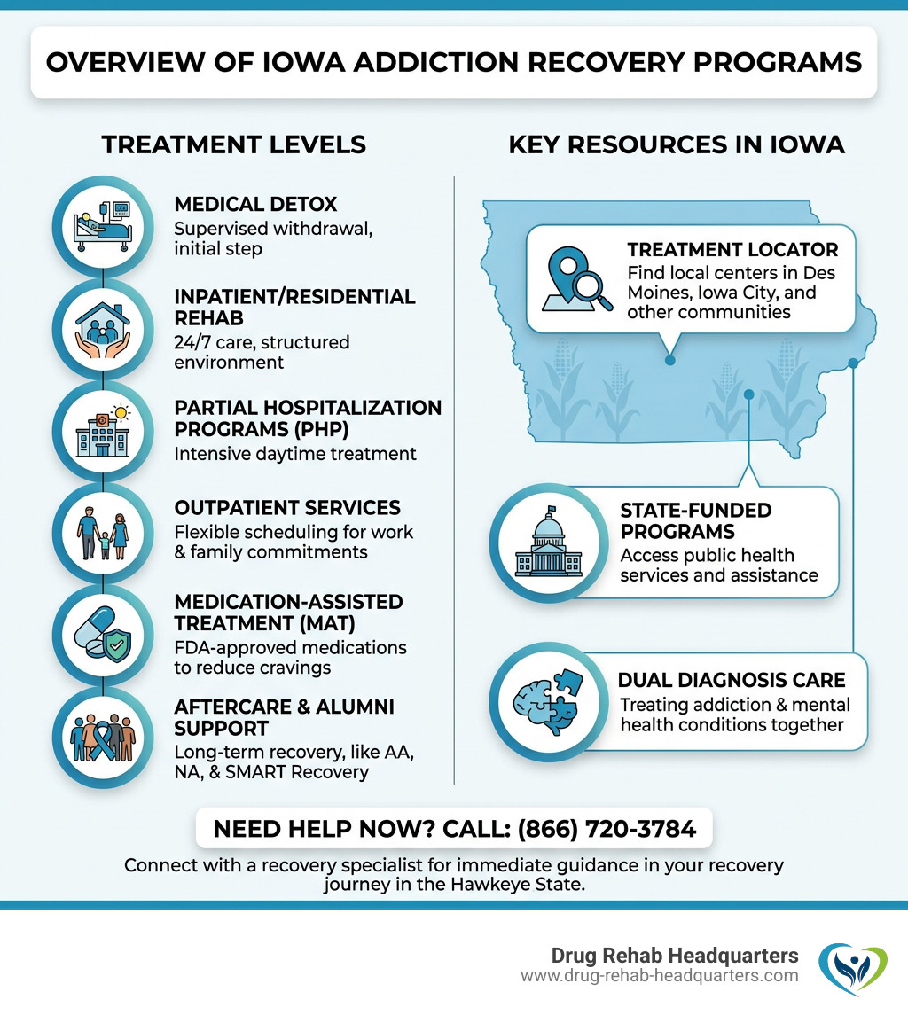 Overview of Iowa addiction recovery programs showing treatment levels and key resources - Iowa addiction recovery programs