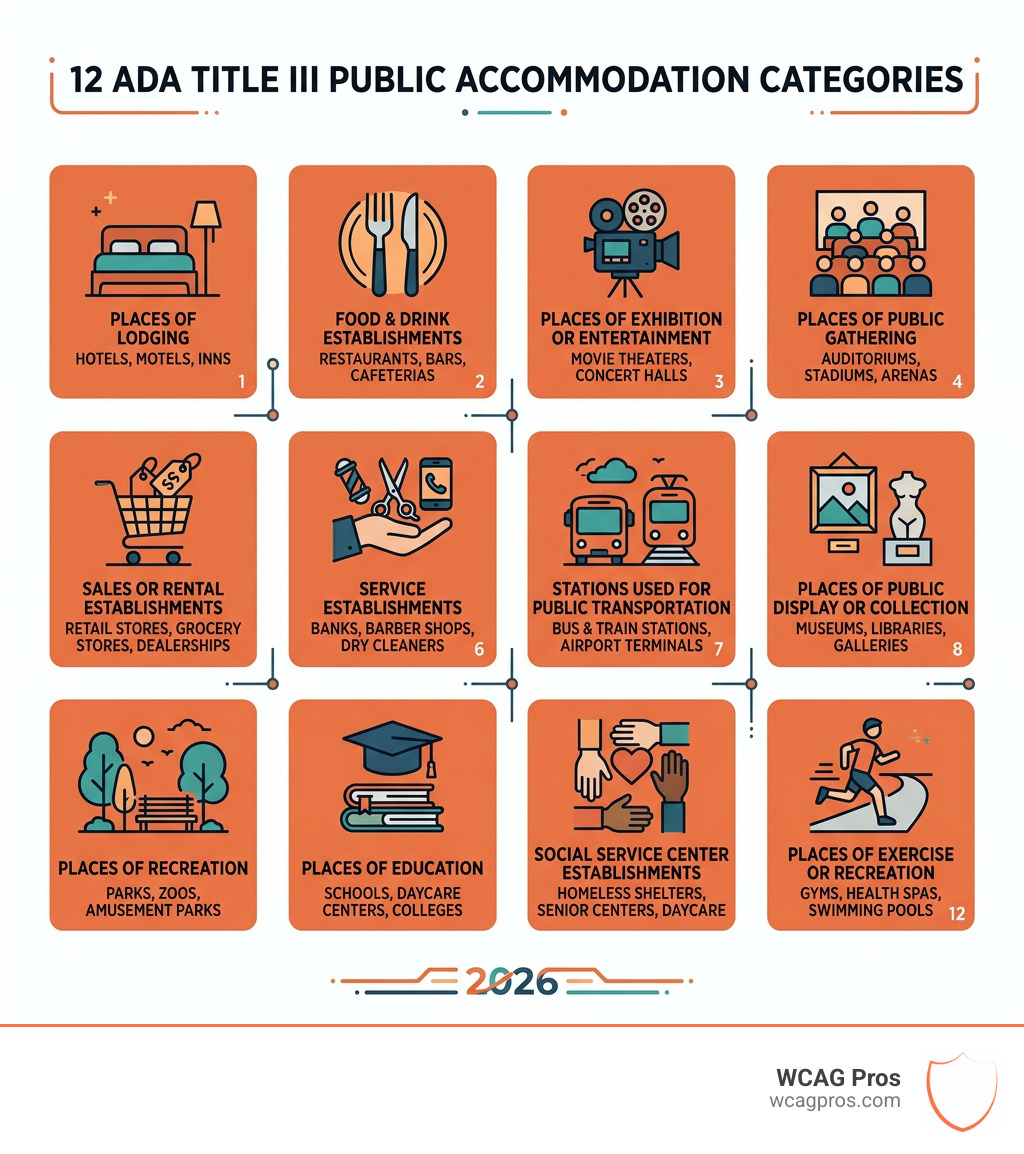 infographic showing 12 ADA Title III public accommodation categories with icons and brief descriptions - public infographic showing 12 ADA Title III public accommodation categories with icons and brief descriptions - public