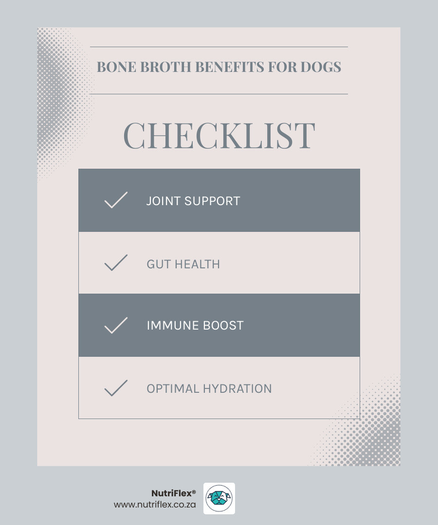Infographic Showing Key Facts: Bone Broth Benefits, Serving Sizes, Safe Ingredients And Storage Tips For Dogs - Bone Broth Infographic Showing Key Facts: Bone Broth Benefits, Serving Sizes, Safe Ingredients And Storage Tips For Dogs - Bone Broth
