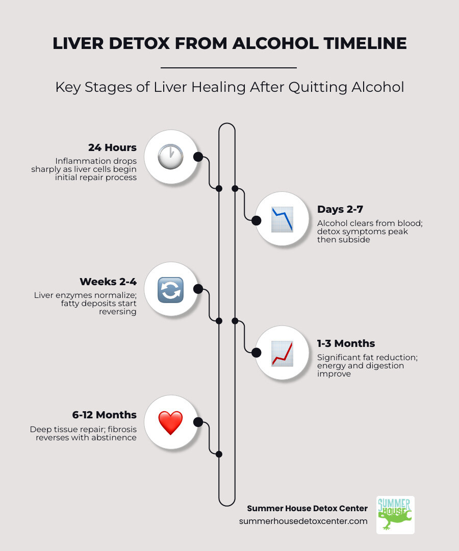 Infographic showing stages of liver healing after alcohol cessation from 24 hours to 12 months - liver detox from alcohol